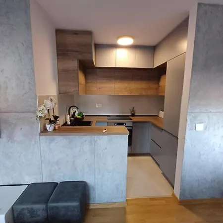 Aristea * Arandelovac