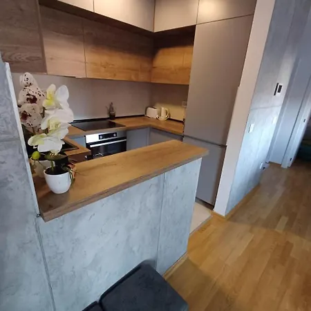 Aristea * Arandelovac