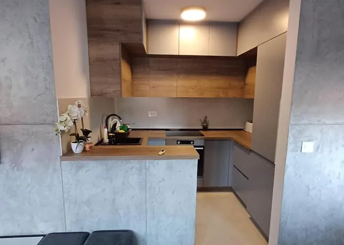 Aristea * Аранделовац